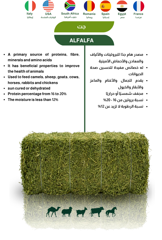 Herbal Products 2