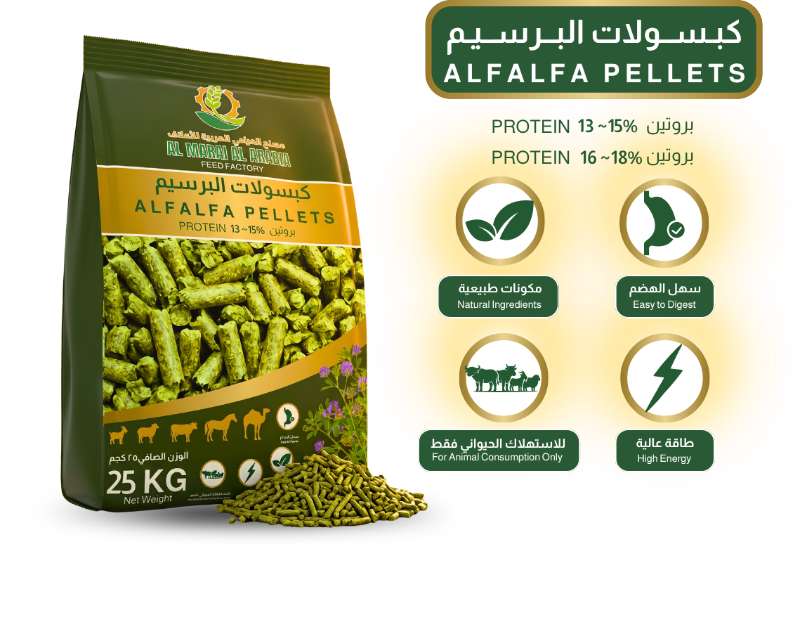 Special Product 58