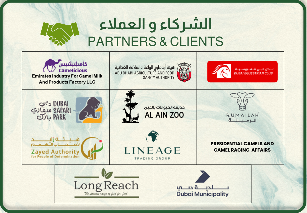 Partners and Clients