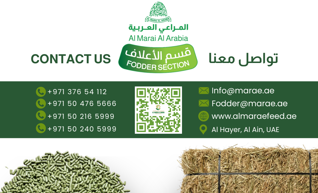 Contact Us Banner